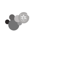 Lörzweiler Online Logo